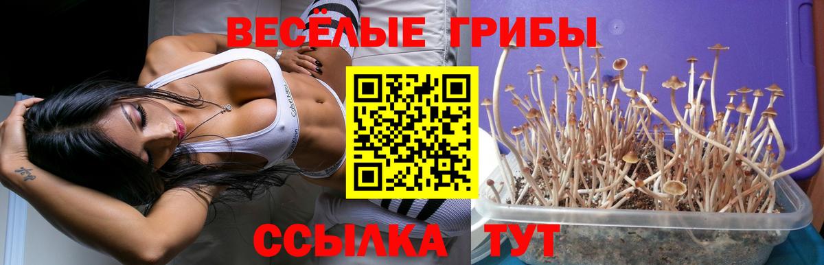 Мефедрон   ЭКСТАЗИ  A PVP СОЛЬ   Вход с VPN  МАРИХУАНА  Избербаш  ГАШИШ  Кокаин 